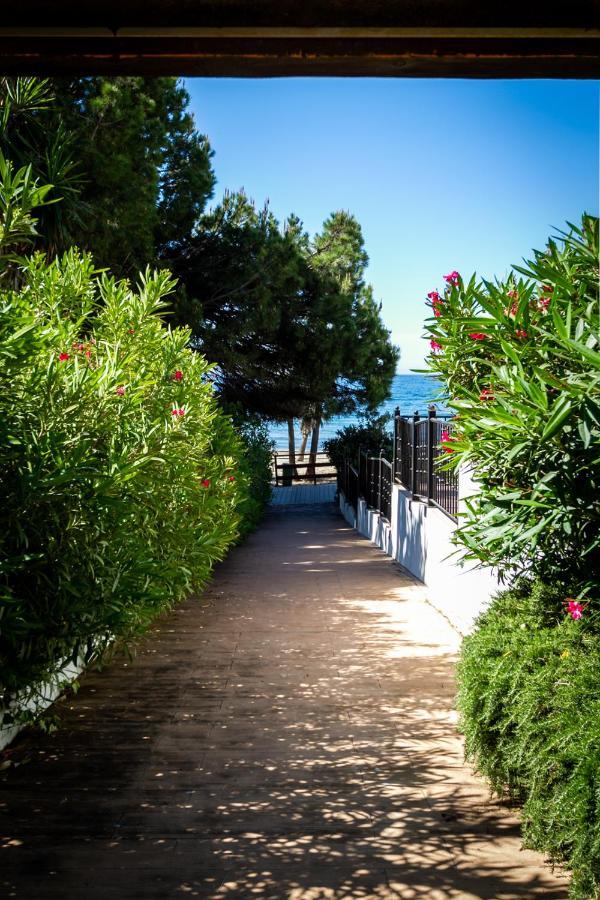 Marbella Banus Suites - Bird Of Paradise Playas Del Duque Banus Suite Apartment Eksteriør billede