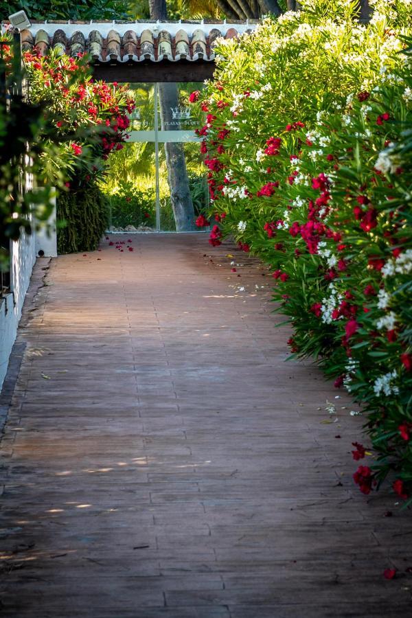 Marbella Banus Suites - Bird Of Paradise Playas Del Duque Banus Suite Apartment Eksteriør billede